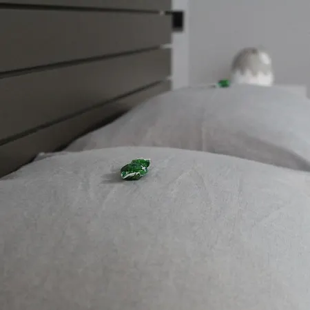 Daca Apartmán Podgorica