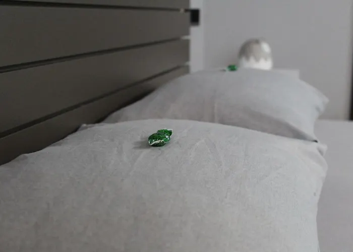 Daca Lägenhet Podgorica